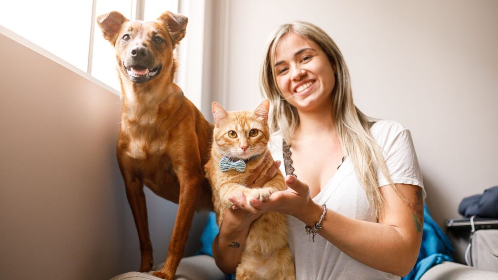 Cómo evitar el estrés en las mascotas en días festivos