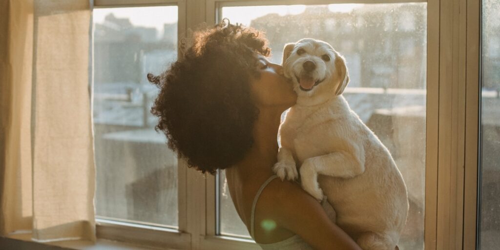 Cuidados básicos para tu perro