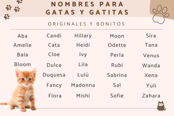 nombres para gatos