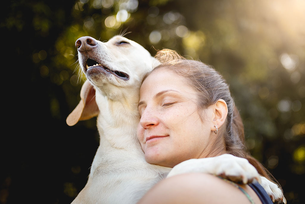 Mejores razas de perros para personas solas