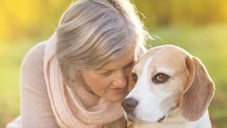 Mejores razas de perros para personas solas